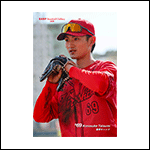 ポストカード辰見26D