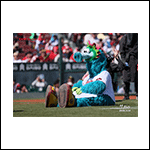 ポストカードスラィリー26D